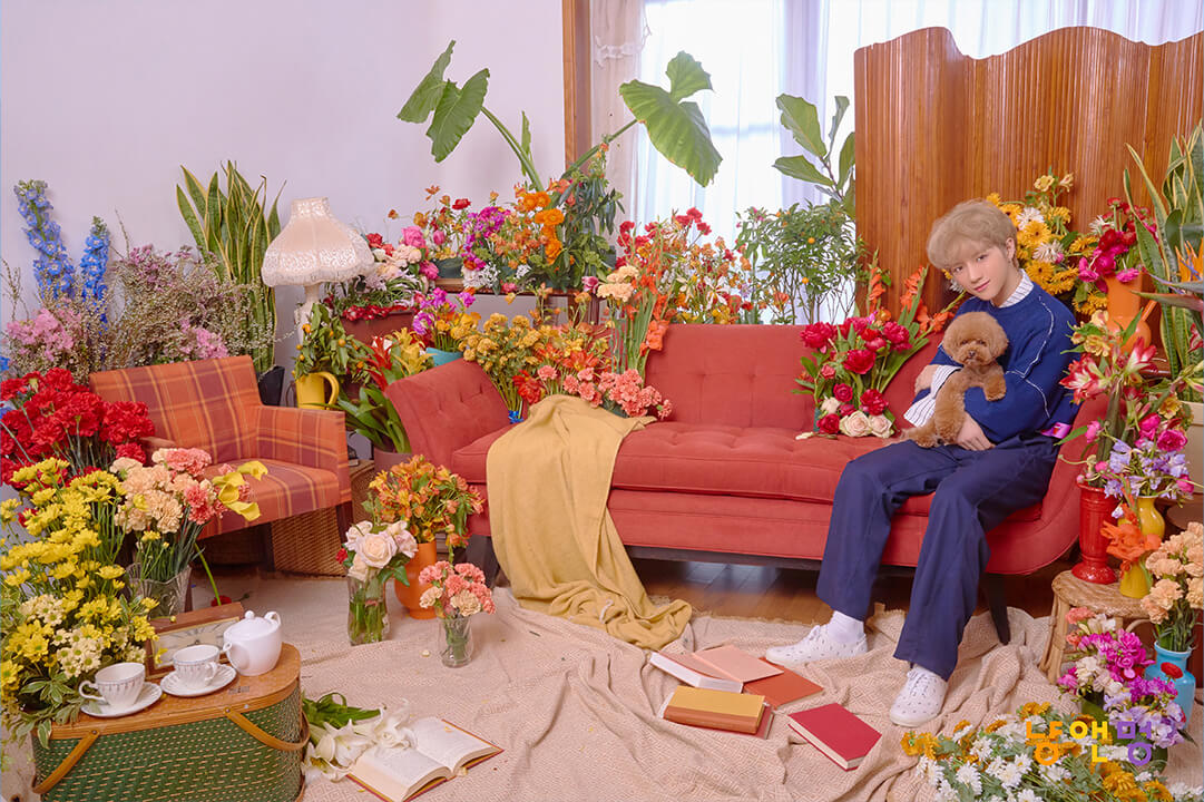 Cat & Dog CONCEPT PHOTO; TOMORROW X TOGETHER成员BEOMGYU的照片