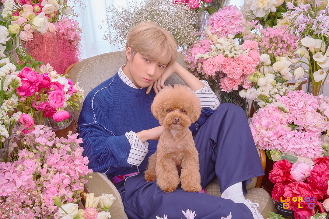 Cat & Dog CONCEPT PHOTO; Photo of TOMORROW X TOGETHER member BEOMGYU.